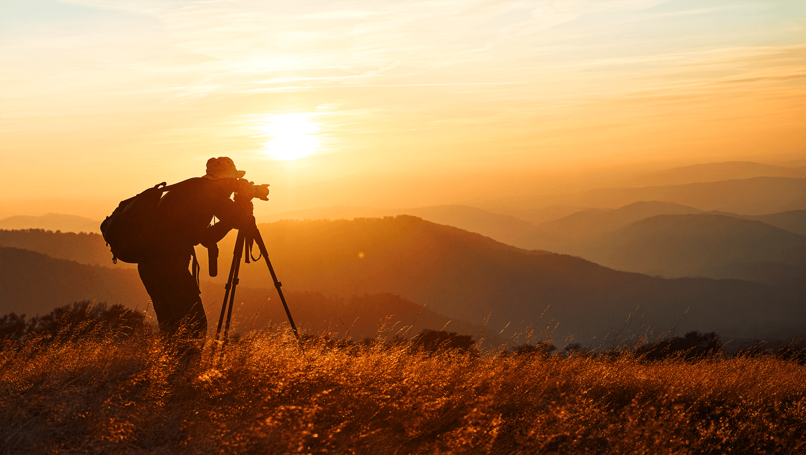 Earn as creator