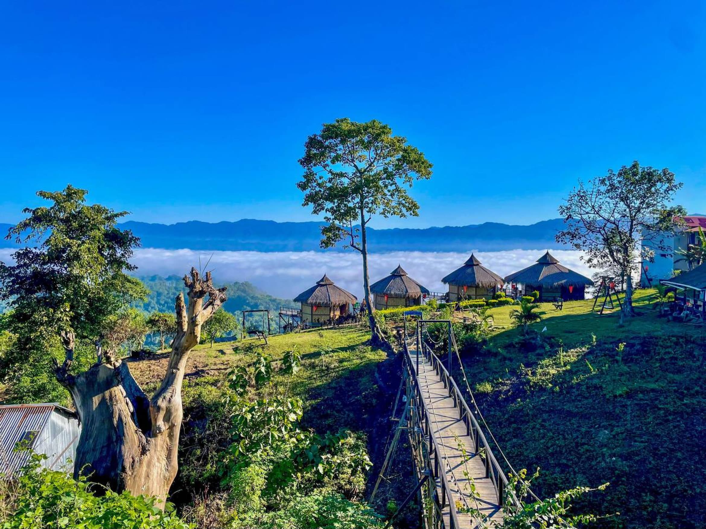 Nilgiri